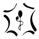 Logo FMF