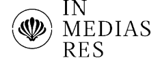 Logo In Media Res